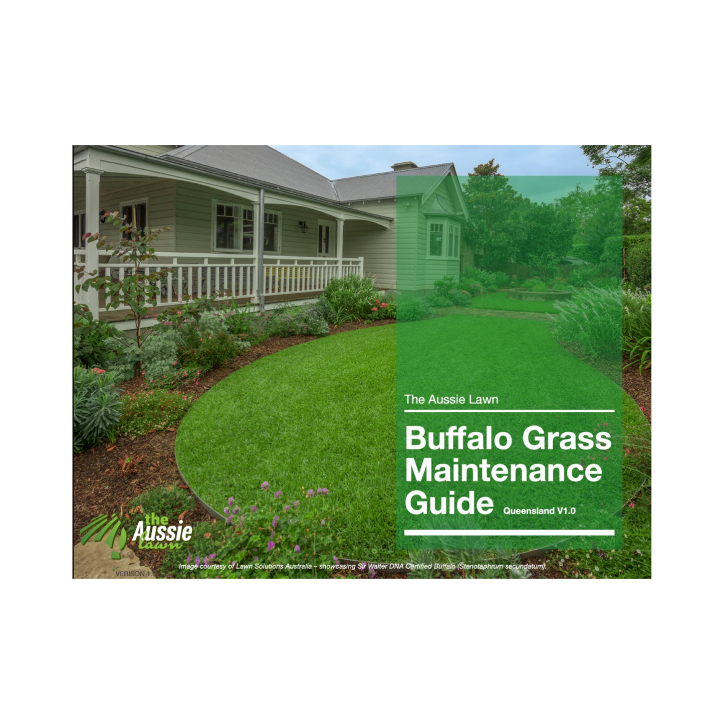 Queensland Buffalo Grass Lawn Maintenance Guide