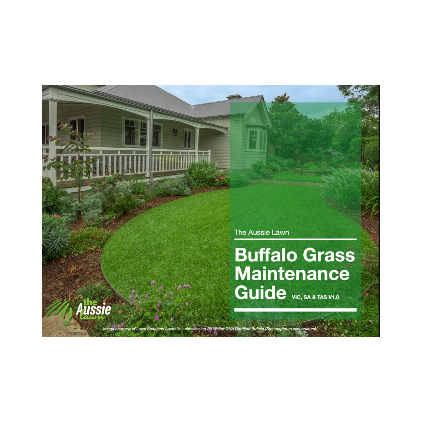 Victoria, South Australia & Tasmania Buffalo Grass Lawn Maintenance Guide