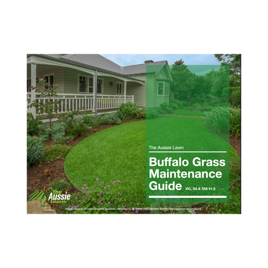 Victoria, South Australia & Tasmania Buffalo Grass Lawn Maintenance Guide