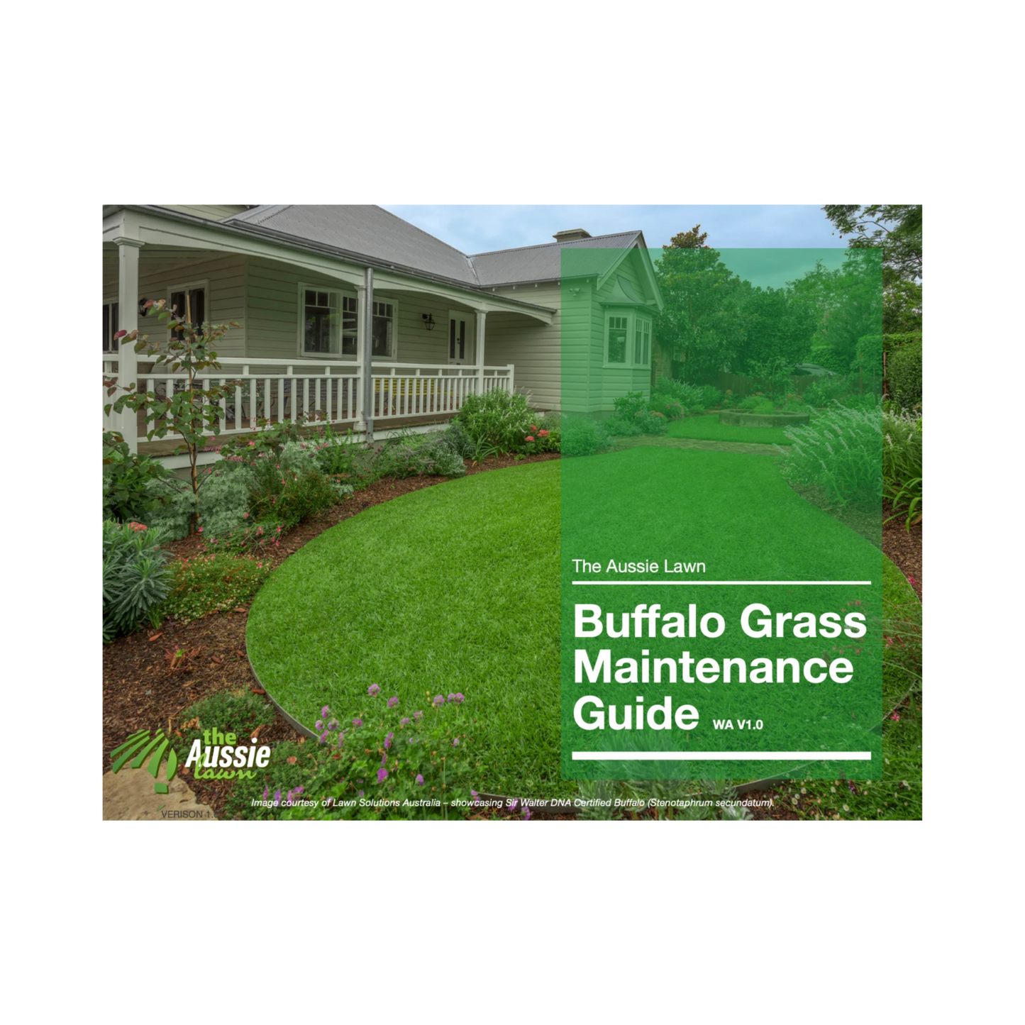 Western Australia Buffalo Grass Lawn Maintenance Guide