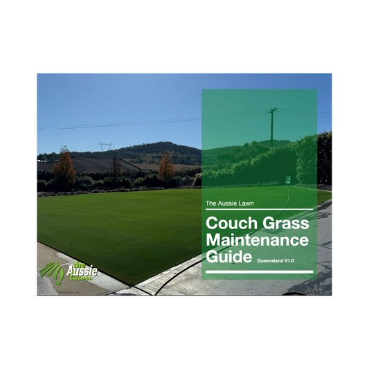 Queensland Couch Grass Lawn Maintenance Guide