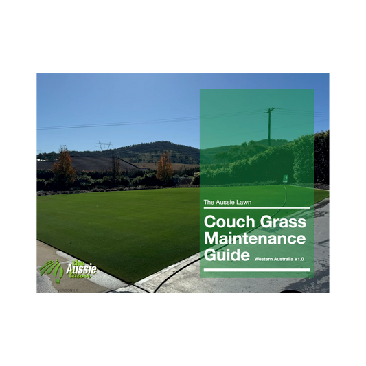 Western Australia Couch Grass Lawn Maintenance Guide