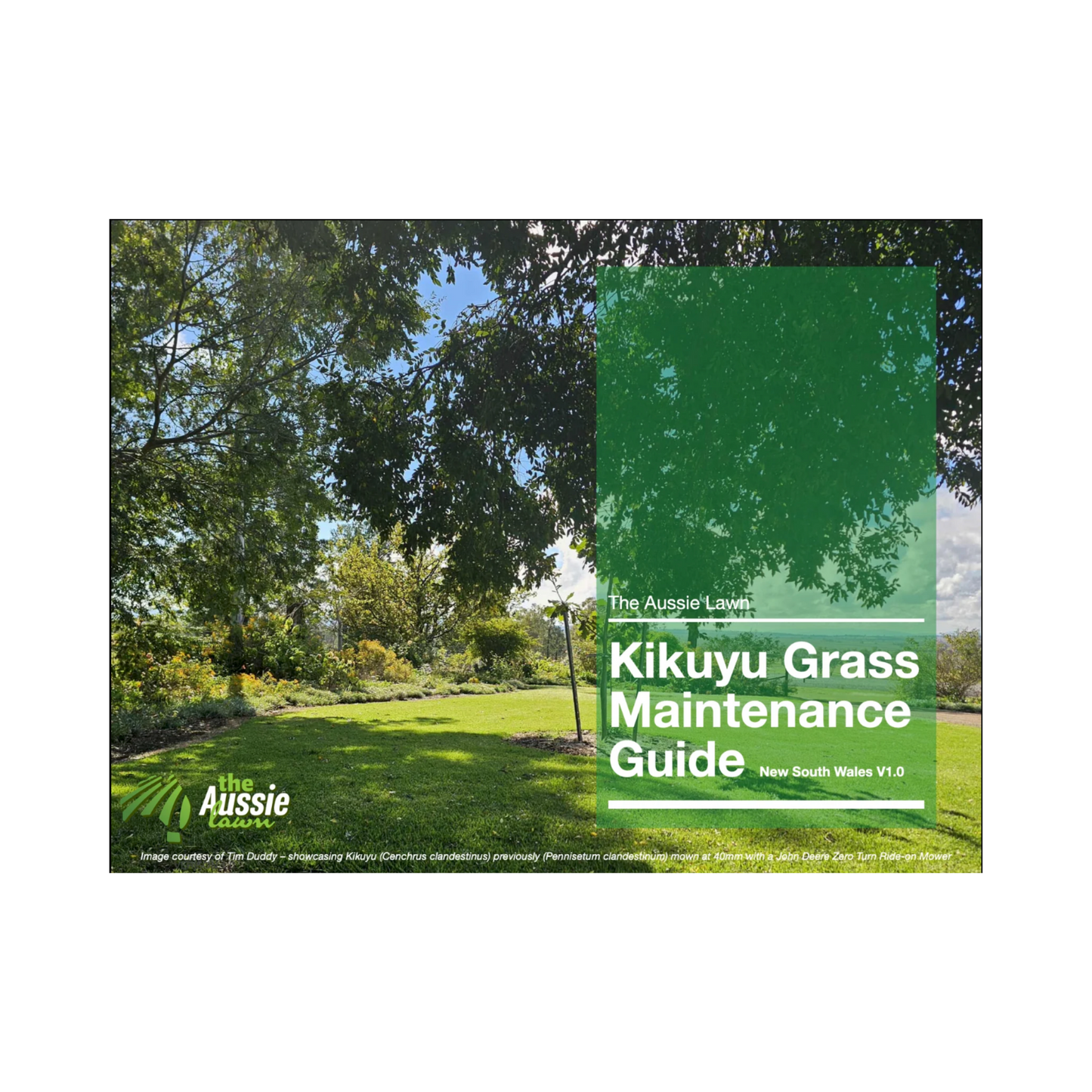 New South Wales Kikuyu Grass Lawn Maintenance Guide