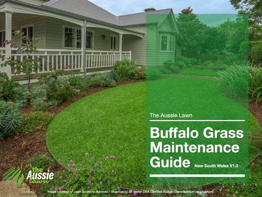 NEW SOUTH WALES BUFFALO GRASS LAWN MAINTENANCE GUIDE