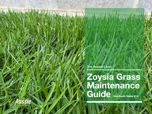 NEW SOUTH WALES ZOYSIA GRASS LAWN MAINTENANCE GUIDE