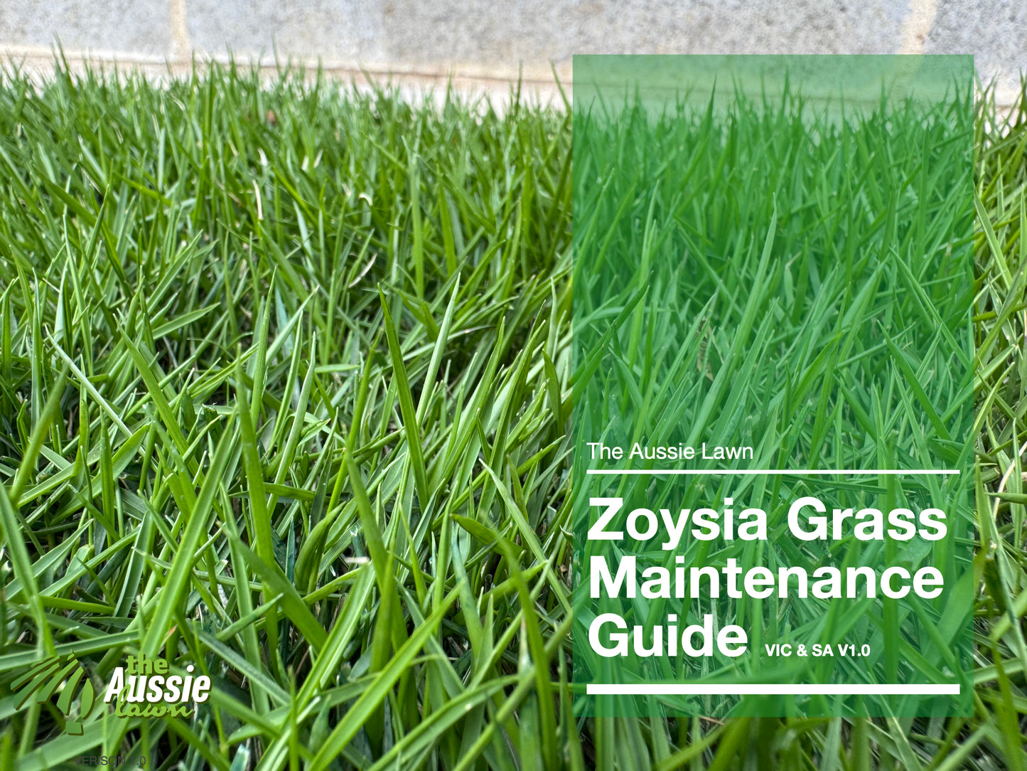 VICTORIA & SOUTH AUSTRALIA ZOYSIA GRASS LAWN MAINTENANCE GUIDE