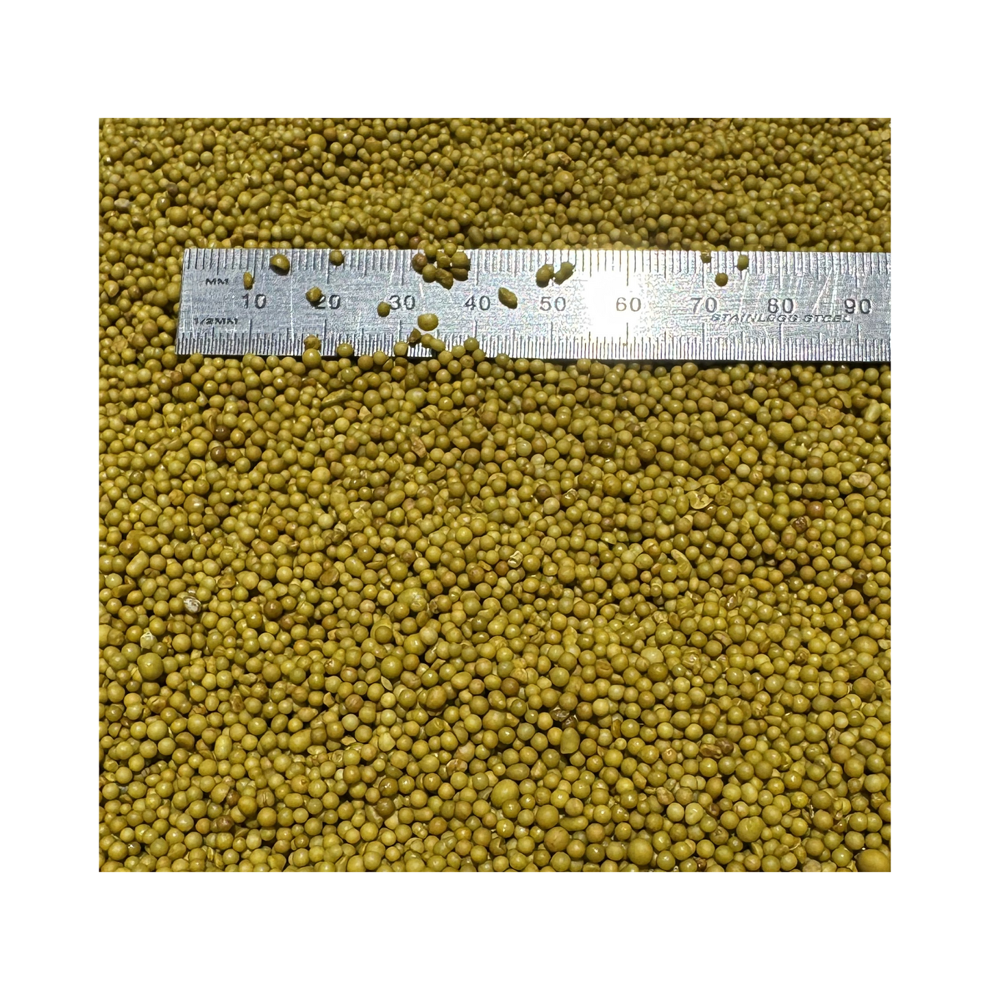 The Aussie Lawn Pro Series Ultra Max Mini 4kg