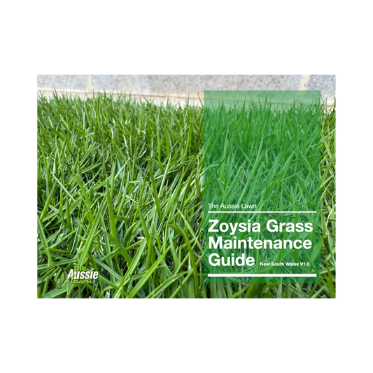 New South Wales Zoysia Grass Lawn Maintenance Guide