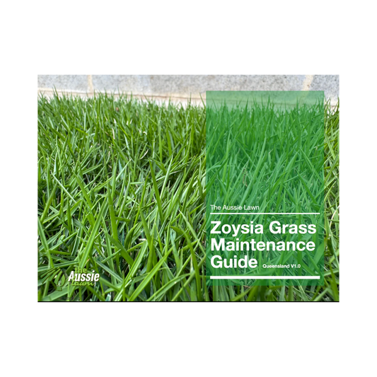 Queensland Zoysia Grass Lawn Maintenance Guide