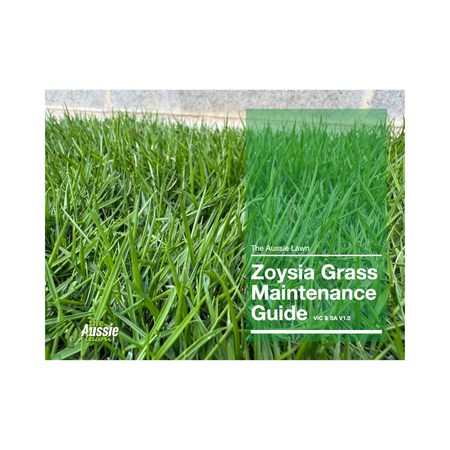 Victoria & South Australia Zoysia Grass Lawn Maintenance Guide