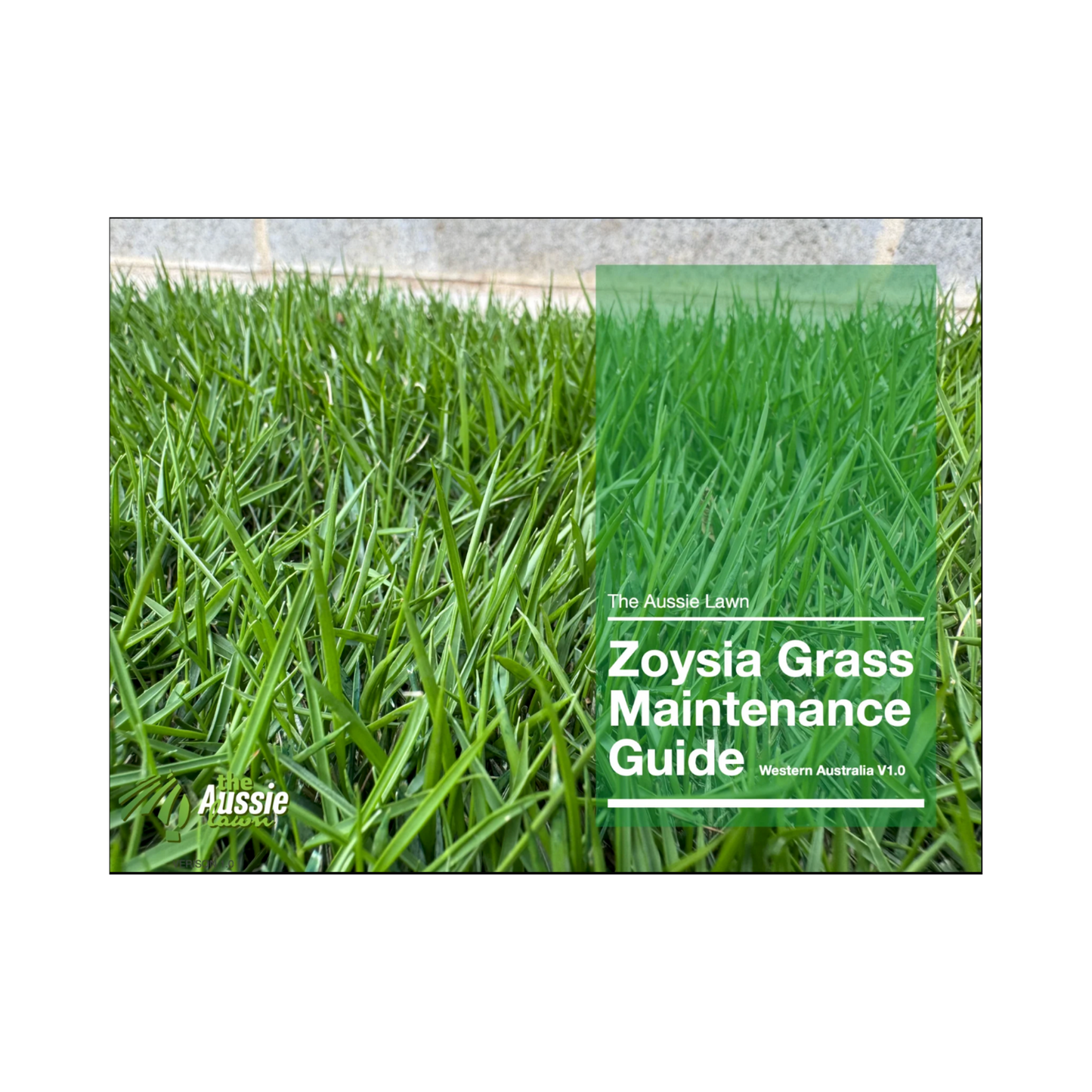 Western Australia Zoysia Grass Lawn Maintenance Guide