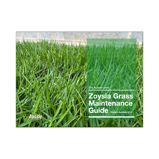 Western Australia Zoysia Grass Lawn Maintenance Guide